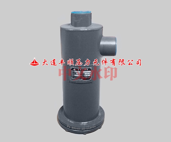 氨泵過濾(lǜ)器