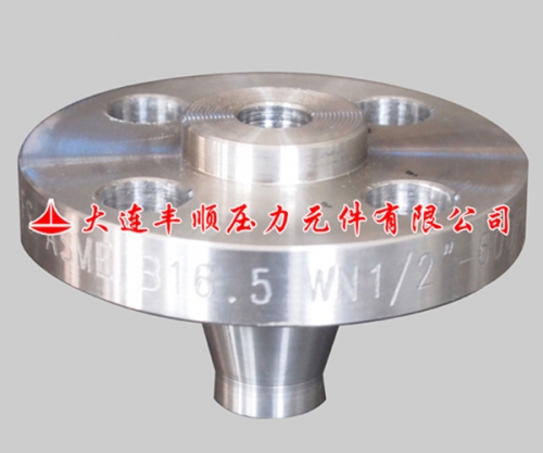 帶頸對(dui)焊法蘭(lan)