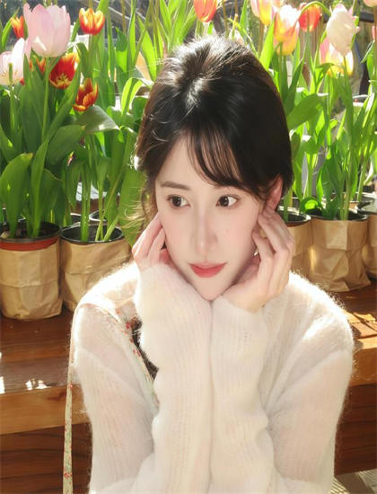 2026春季档《男才女貌》：上映表现与精准评价，提名影片